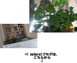 blog+1natural.gif